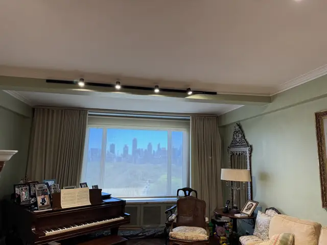 Luces de riel en una sala frente al parque