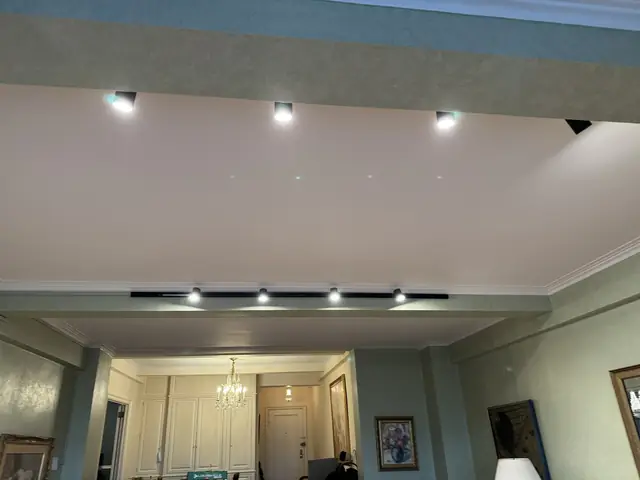 Luces empotradas y de riel en una sala clásica